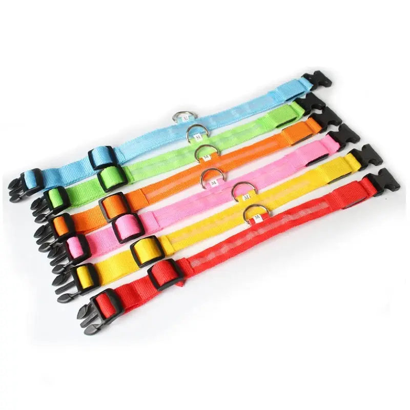 Led Dog Collar Light Anti-lost Collar For Dogs Puppies Night Luminous Supplies Pet Products Accessories USB Charging/Battery simplyledstore