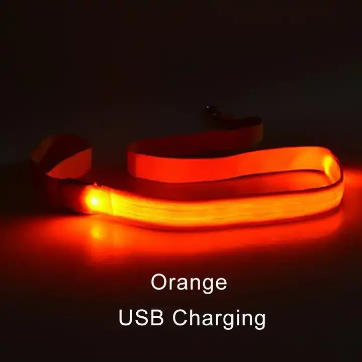 LED Light Up Dog Leash Luminous Rope Lead Leash For Dog Safety Flashing Glowing Dog Collar Harness Electronic Pet Accessories simplyledstore
