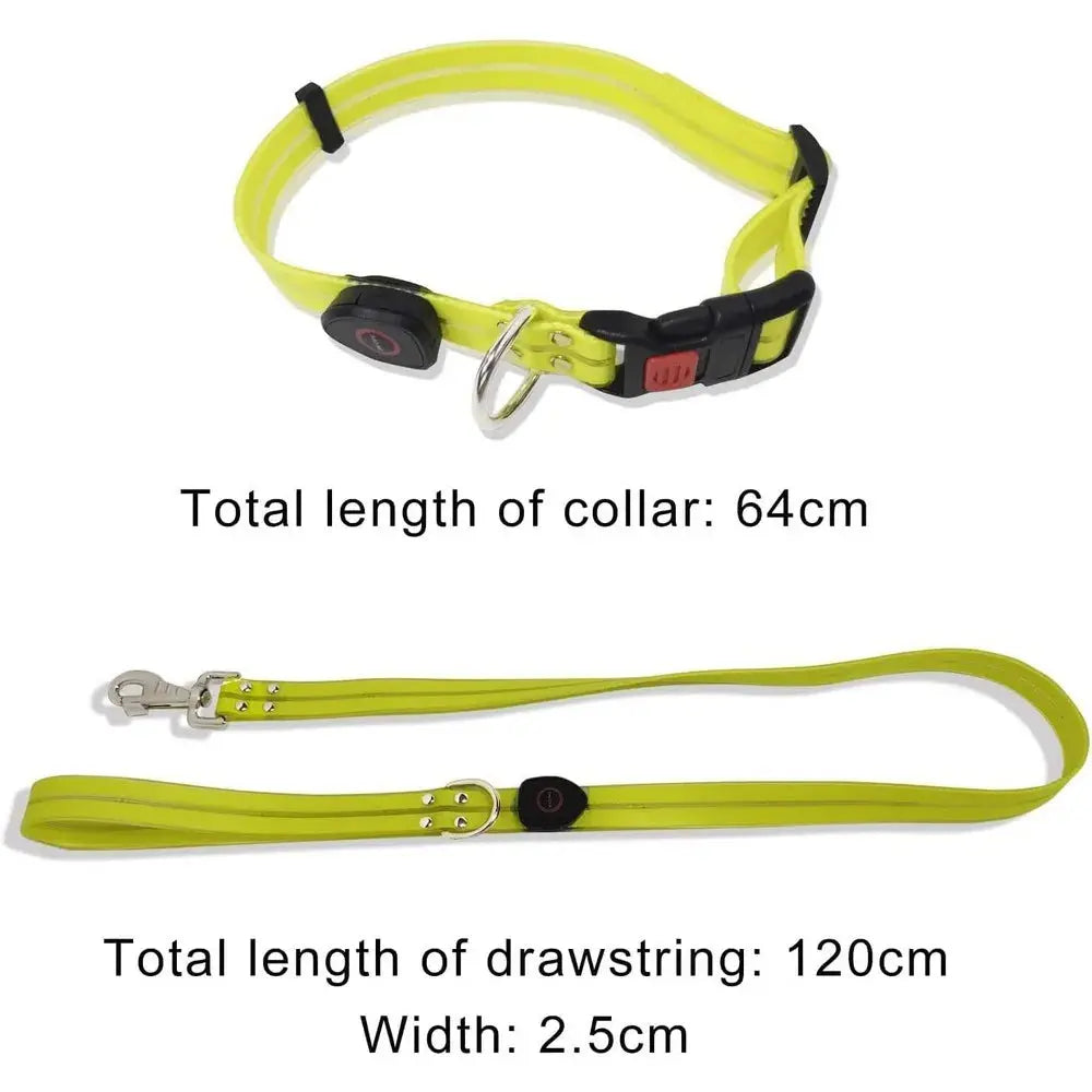 Pet Dog LED Light UP Leash USB Rechargeable PVC With Webbing Glowing Pet Leash Light Up Puppy Dog Night Walking No Collar simplyledstore