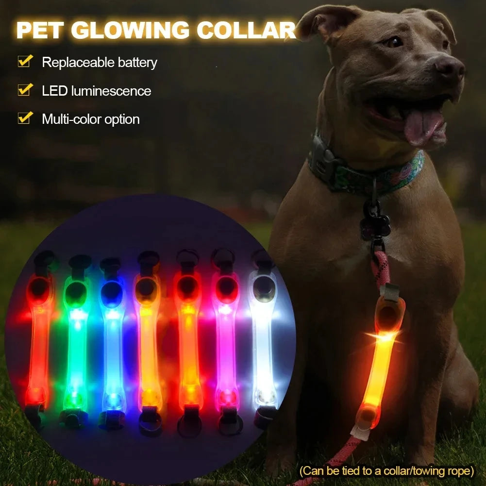 Pet light anti-loss safety traction collar multi-color pendant outdoor waterproof warning Led flashing light strip simplyledstore