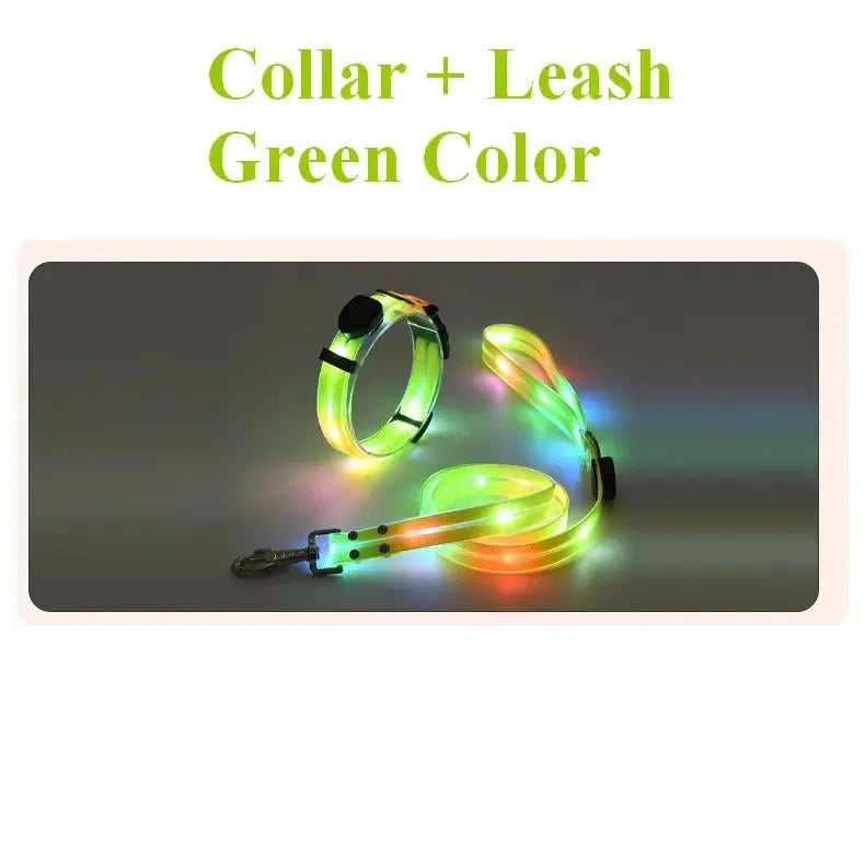 Pet Dog LED Light UP Leash USB Rechargeable PVC With Webbing Glowing Pet Leash Light Up Puppy Dog Night Walking No Collar simplyledstore
