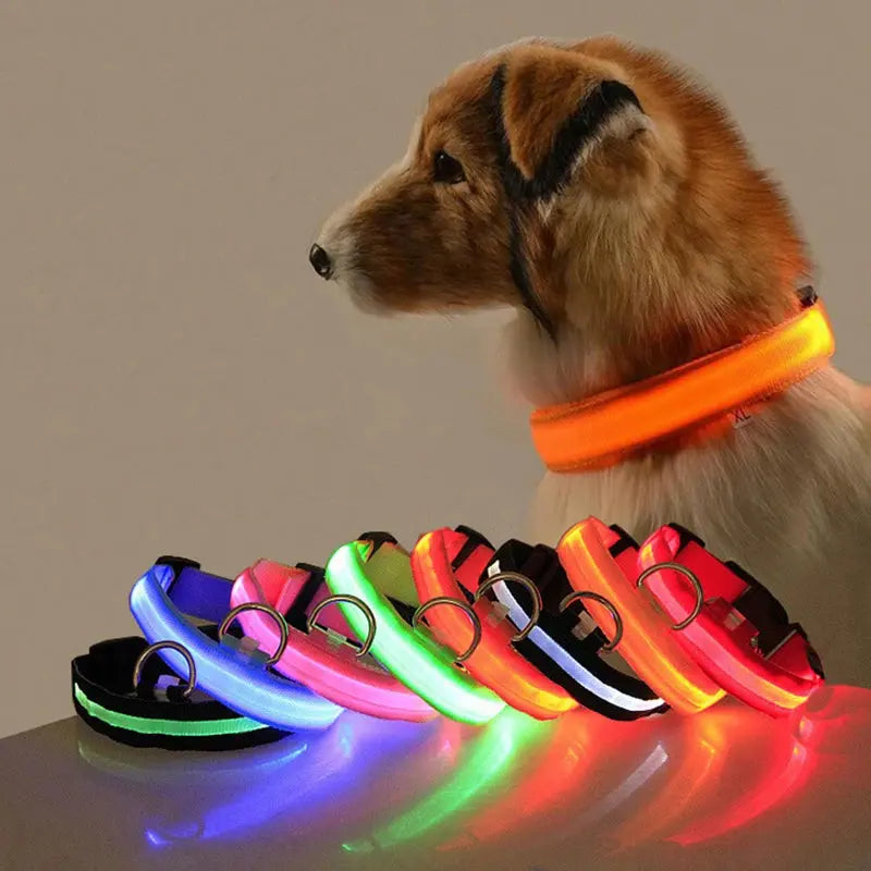 Led Dog Collar Light Anti-lost Collar For Dogs Puppies Night Luminous Supplies Pet Products Accessories USB Charging/Battery simplyledstore
