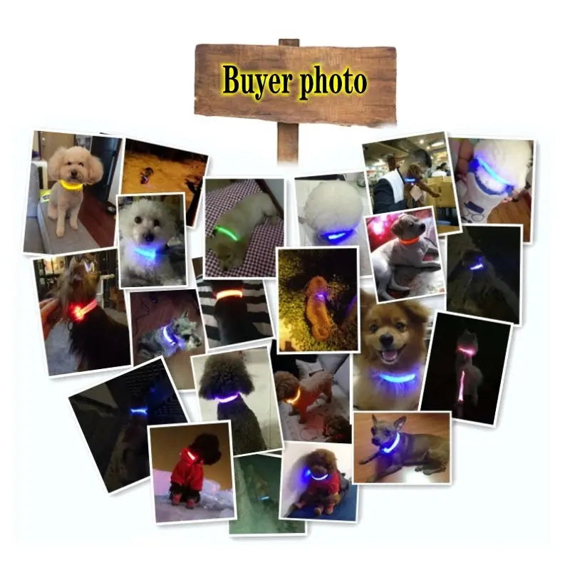 Led Dog Collar Light Anti-lost Collar For Dogs Puppies Night Luminous Supplies Pet Products Accessories USB Charging/Battery simplyledstore