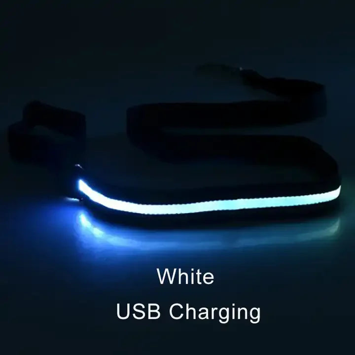 LED Light Up Dog Leash Luminous Rope Lead Leash For Dog Safety Flashing Glowing Dog Collar Harness Electronic Pet Accessories simplyledstore
