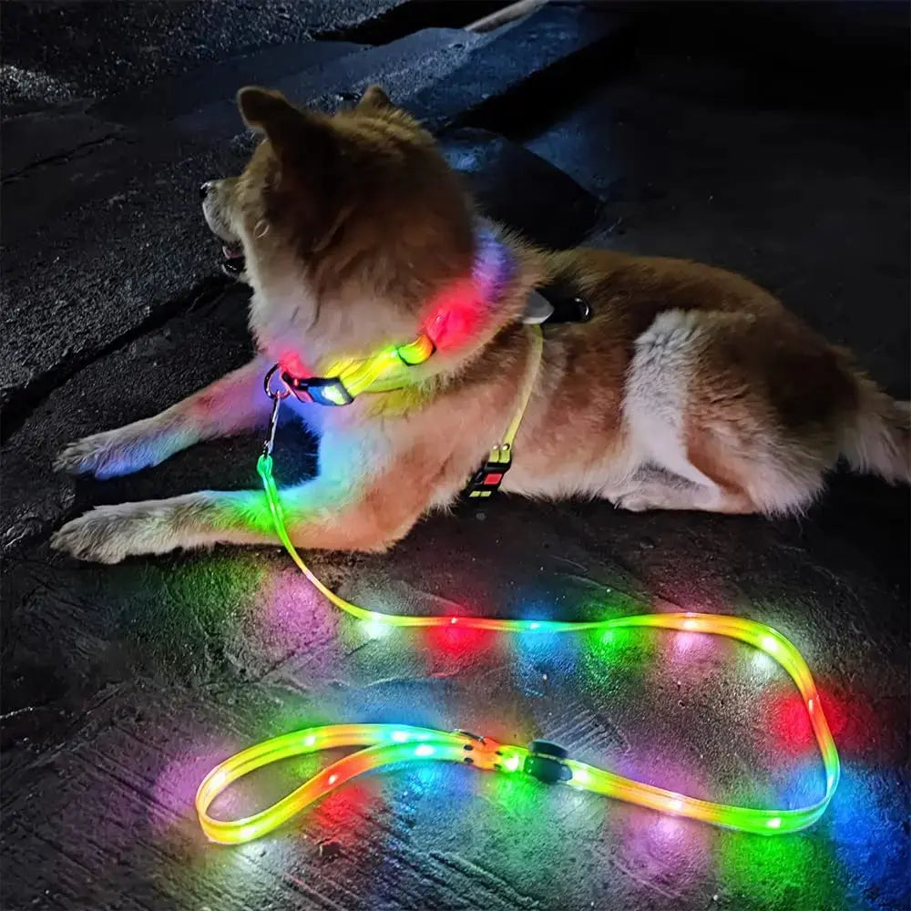 Pet Dog LED Light UP Leash USB Rechargeable PVC With Webbing Glowing Pet Leash Light Up Puppy Dog Night Walking No Collar simplyledstore