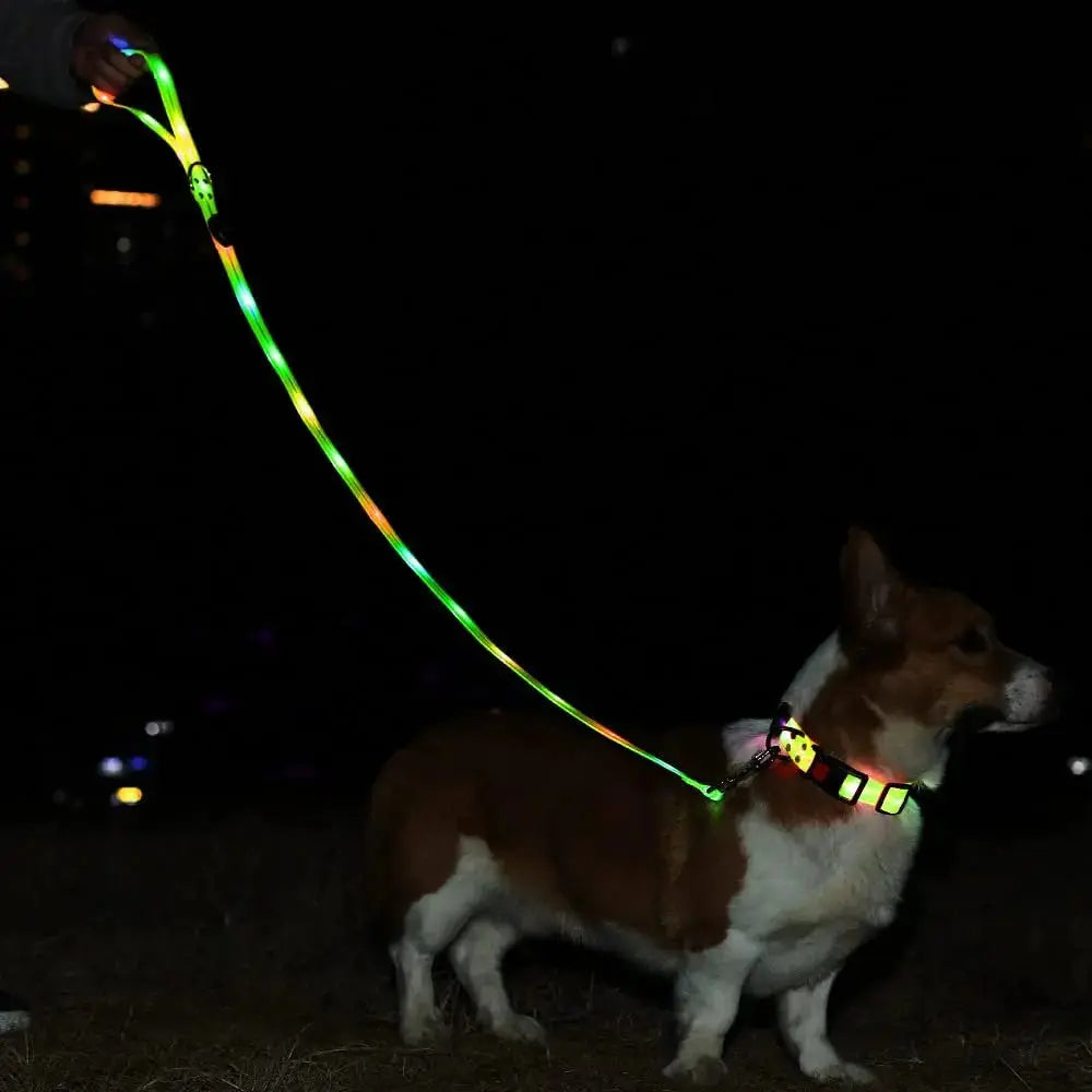 Pet Dog LED Light UP Leash USB Rechargeable PVC With Webbing Glowing Pet Leash Light Up Puppy Dog Night Walking No Collar simplyledstore