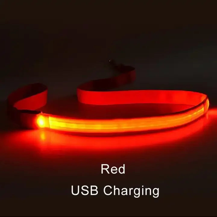 LED Light Up Dog Leash Luminous Rope Lead Leash For Dog Safety Flashing Glowing Dog Collar Harness Electronic Pet Accessories simplyledstore