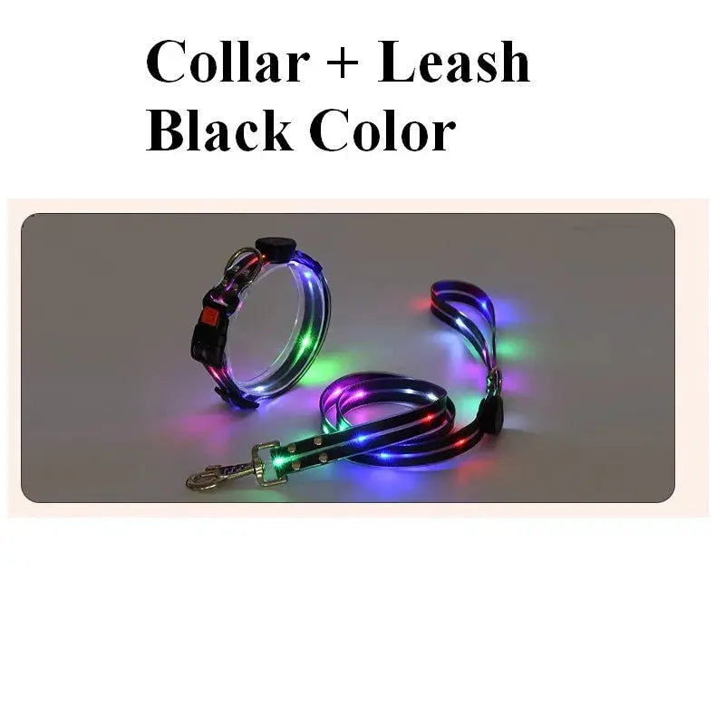 Pet Dog LED Light UP Leash USB Rechargeable PVC With Webbing Glowing Pet Leash Light Up Puppy Dog Night Walking No Collar simplyledstore