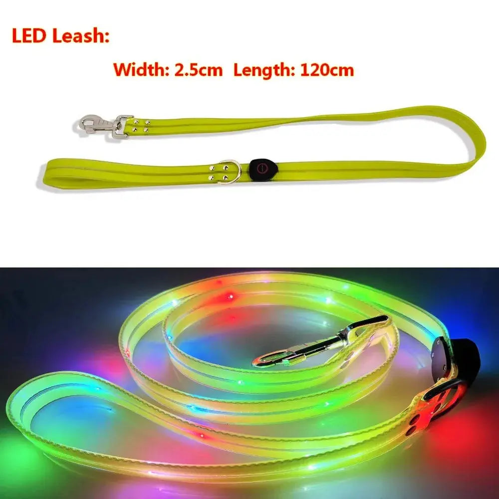 Pet Dog LED Light UP Leash USB Rechargeable PVC With Webbing Glowing Pet Leash Light Up Puppy Dog Night Walking No Collar simplyledstore