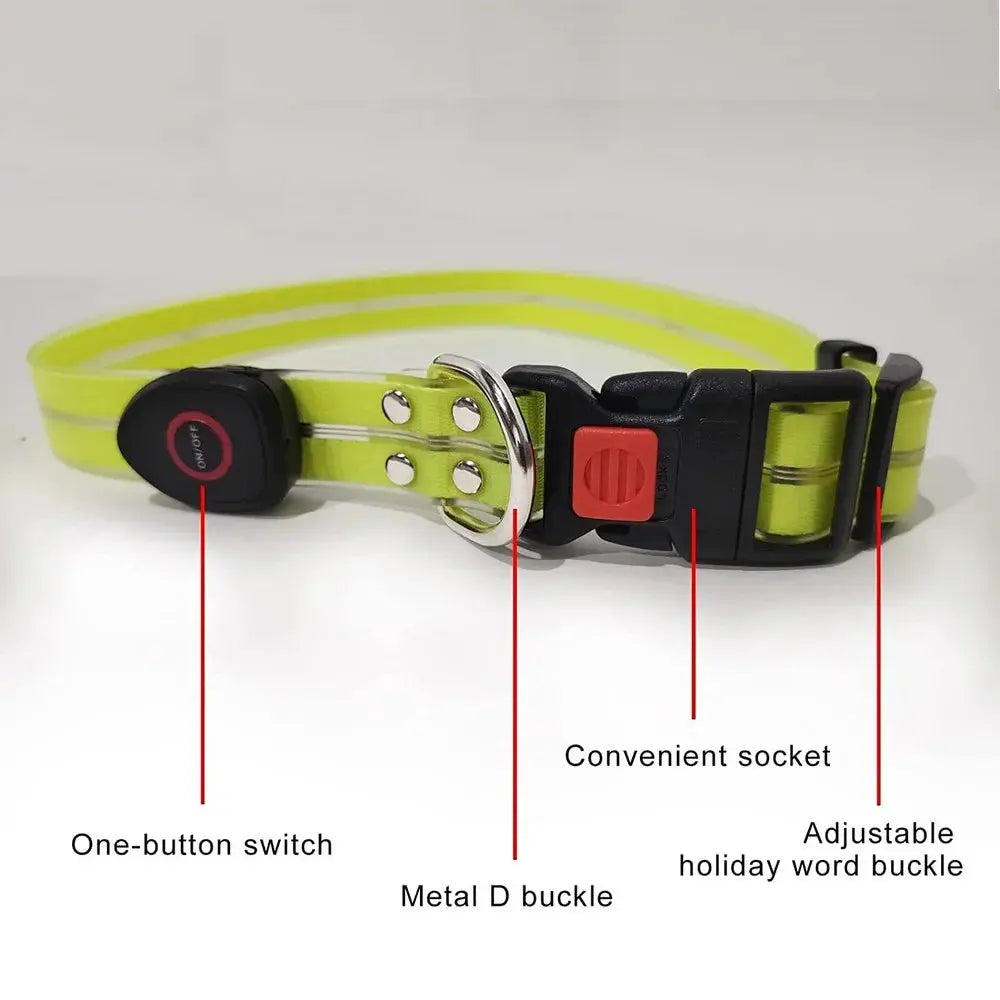 Pet Dog LED Light UP Leash USB Rechargeable PVC With Webbing Glowing Pet Leash Light Up Puppy Dog Night Walking No Collar simplyledstore
