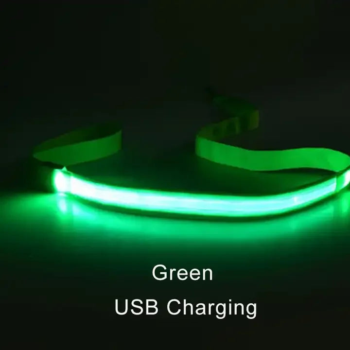 LED Light Up Dog Leash Luminous Rope Lead Leash For Dog Safety Flashing Glowing Dog Collar Harness Electronic Pet Accessories simplyledstore