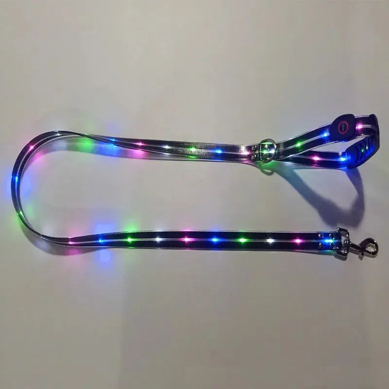 Pet Dog LED Light UP Leash USB Rechargeable PVC With Webbing Glowing Pet Leash Light Up Puppy Dog Night Walking No Collar simplyledstore