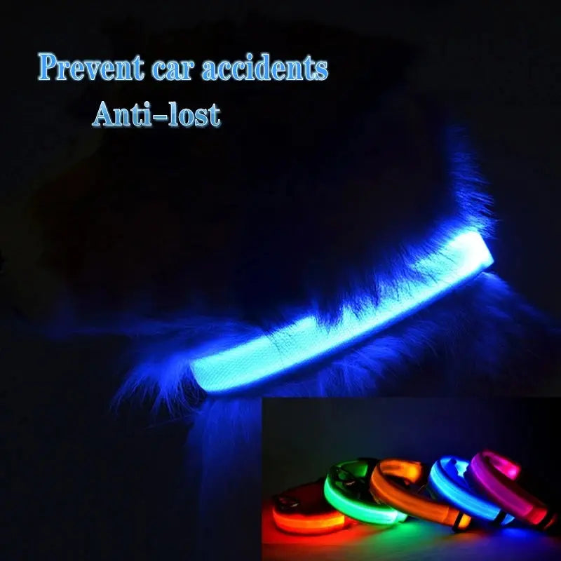 Led Dog Collar Light Anti-lost Collar For Dogs Puppies Night Luminous Supplies Pet Products Accessories USB Charging/Battery simplyledstore