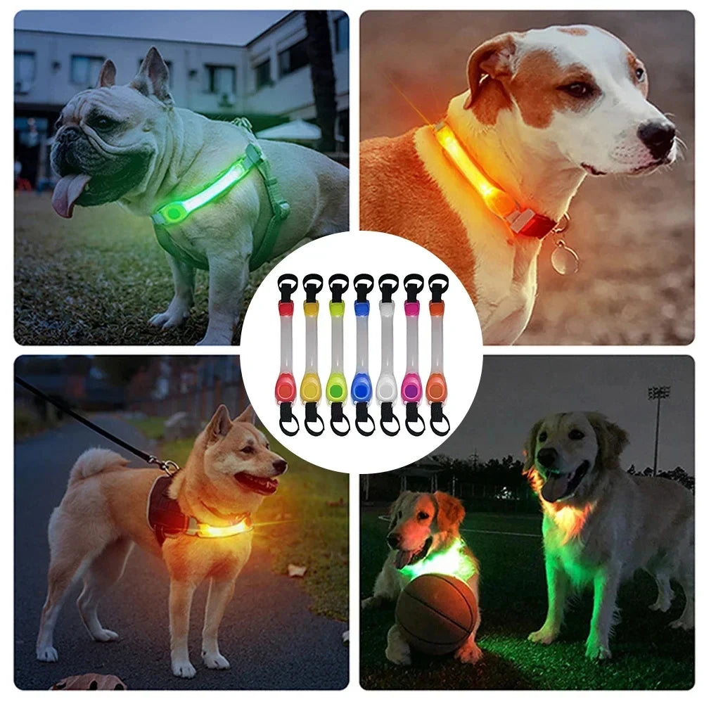 Pet light anti-loss safety traction collar multi-color pendant outdoor waterproof warning Led flashing light strip simplyledstore