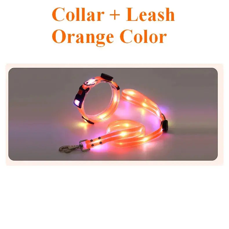Pet Dog LED Light UP Leash USB Rechargeable PVC With Webbing Glowing Pet Leash Light Up Puppy Dog Night Walking No Collar simplyledstore