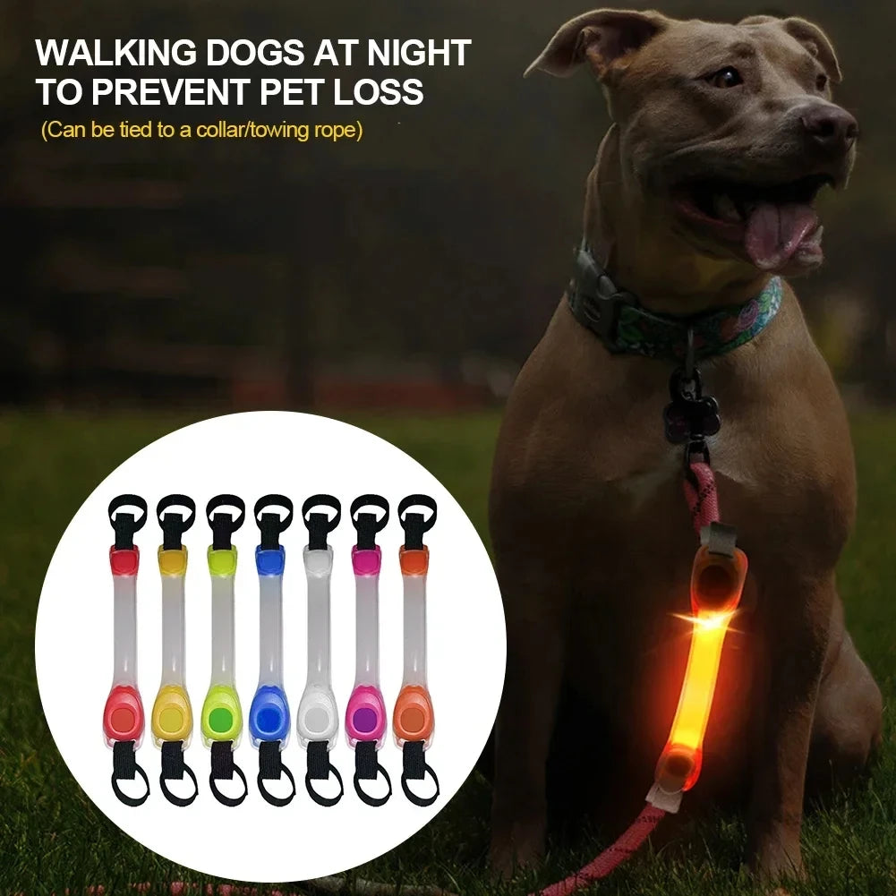 Pet light anti-loss safety traction collar multi-color pendant outdoor waterproof warning Led flashing light strip simplyledstore