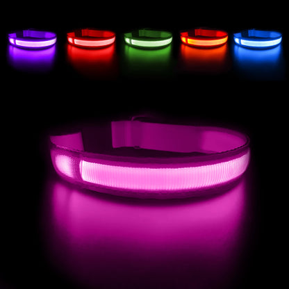 USB Charging Rechargeable Waterproof 3 Modes Durable Glowing Dog Collars SIMPLY LED