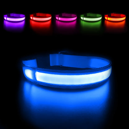 USB Charging Rechargeable Waterproof 3 Modes Durable Glowing Dog Collars SIMPLY LED