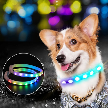 USB Pet LED Light Night Safety Anti-Lost Pet Glowing Collars SIMPLY LED