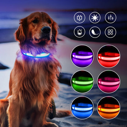 USB Charging Rechargeable Waterproof 3 Modes Durable Glowing Dog Collars SIMPLY LED