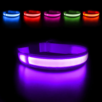 LED Dog Collar Waterproof Safety Night Glow Necklace SIMPLY LED