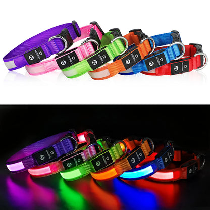 LED Dog Collar Waterproof Safety Night Glow Necklace SIMPLY LED