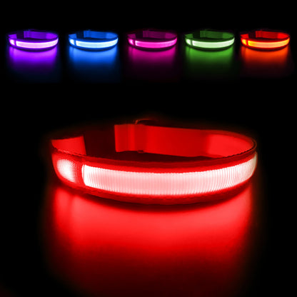 USB Charging Rechargeable Waterproof 3 Modes Durable Glowing Dog Collars SIMPLY LED