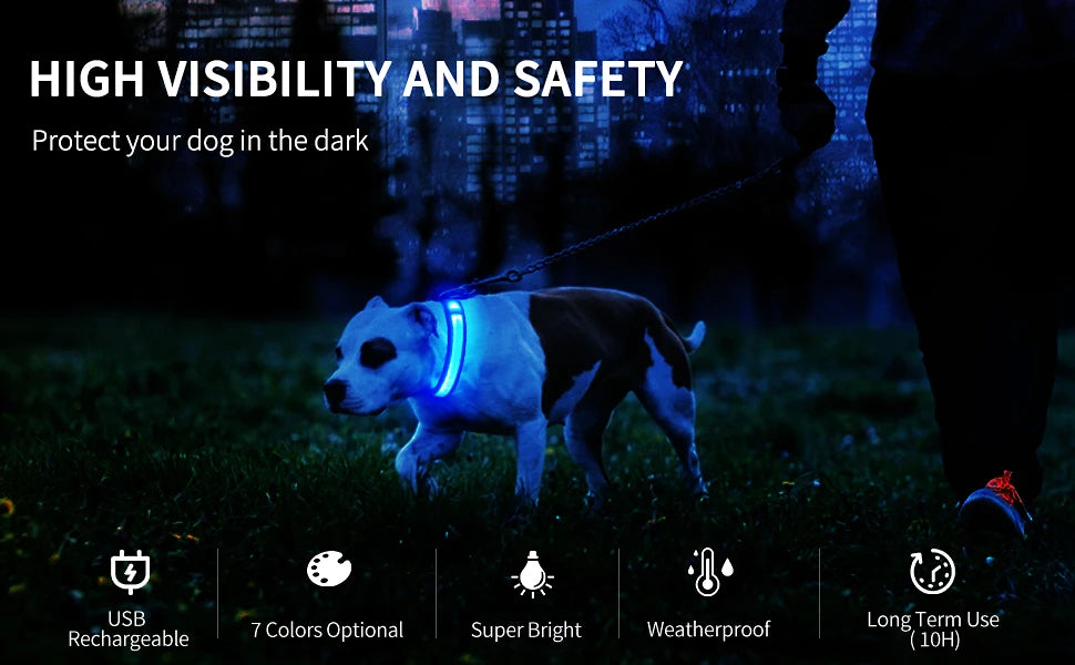 USB Charging Rechargeable Waterproof 3 Modes Durable Glowing Dog Collars SIMPLY LED