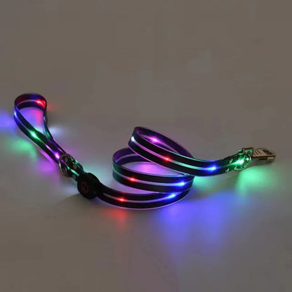 Adjustable, Rechargeable, and Safe LED Light Pet Collar SIMPLY LED