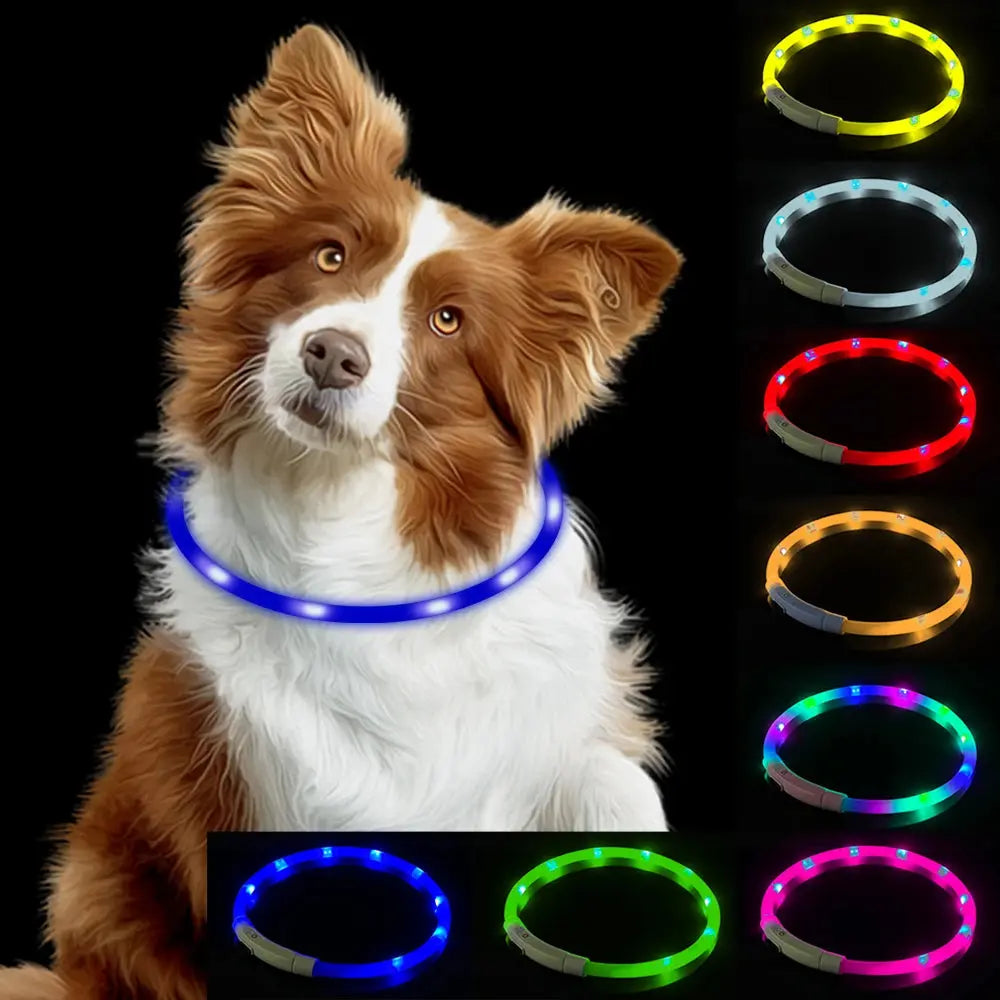 Led USB Night Safety Flashing Glow Pet Collar SIMPLY LED