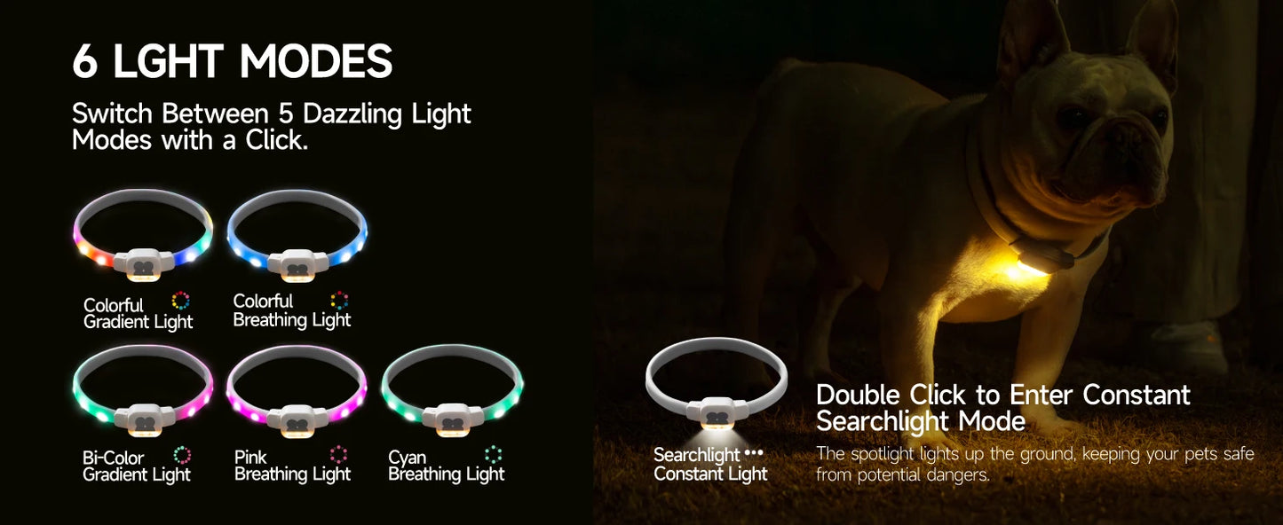 LED Dog Collar with USB Rechargeable Glow in The Dark Waterproof Dog Necklace SIMPLY LED