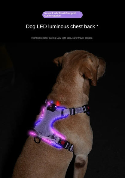 LED Dog Harness with 2 Leash Clips, Adjustable Soft Padded Dog Vest SIMPLY LED