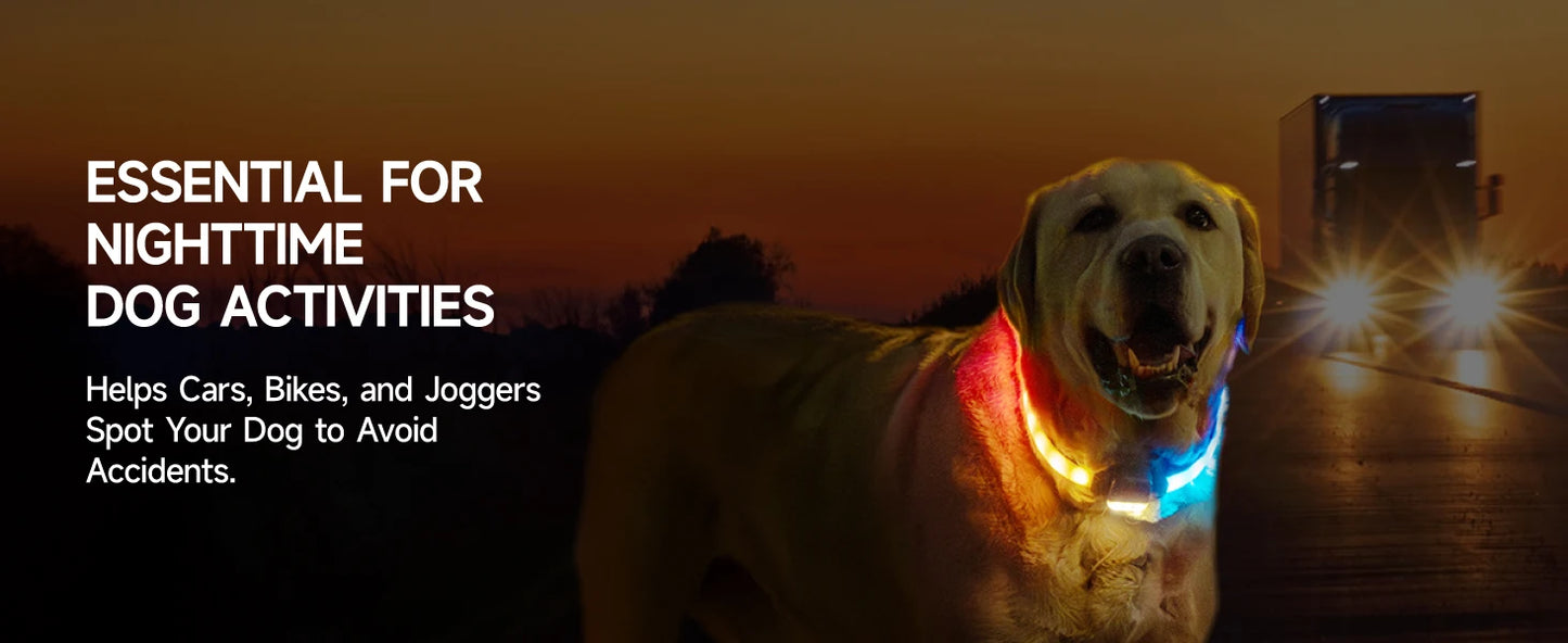 LED Dog Collar with USB Rechargeable Glow in The Dark Waterproof Dog Necklace SIMPLY LED