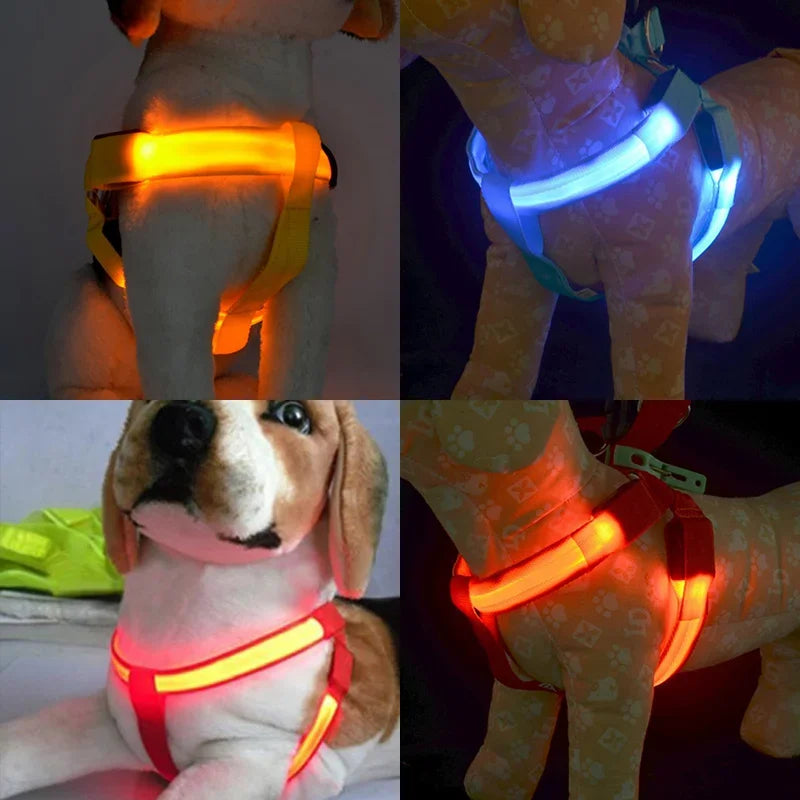 Glow-in-the-Dark LED Light Safety Nylon Lighted Dog Harness SIMPLY LED