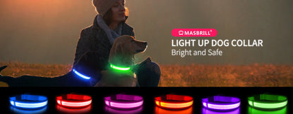 LED Dog Collar Waterproof Safety Night Glow Necklace SIMPLY LED