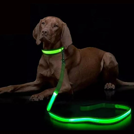 LED Light Up Dog Leash Luminous Rope Lead Leash For Dog Safety Flashing Glowing Dog Collar Harness Electronic Pet Accessories simplyledstore