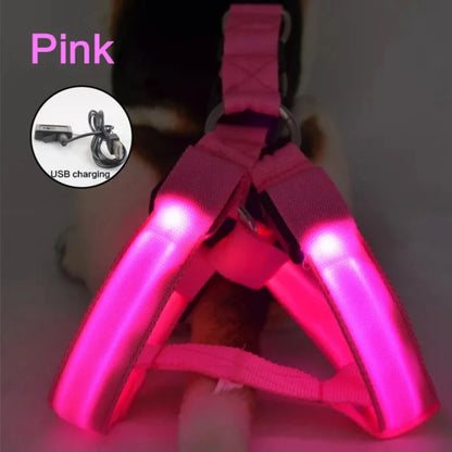 Glow-in-the-Dark LED Light Safety Nylon Lighted Dog Harness SIMPLY LED