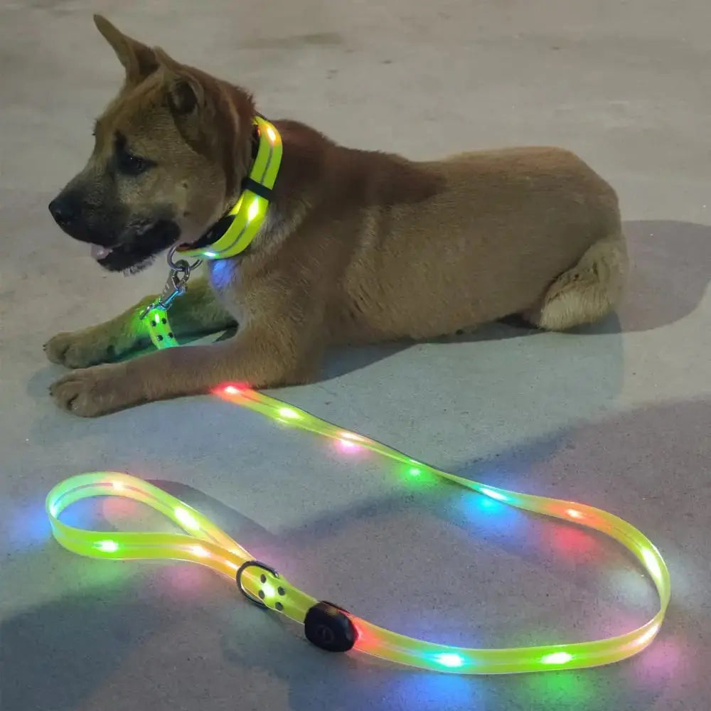Pet Dog LED Light UP Leash USB Rechargeable PVC With Webbing Glowing Pet Leash Light Up Puppy Dog Night Walking No Collar simplyledstore