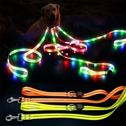 Adjustable, Rechargeable, and Safe LED Light Pet Collar SIMPLY LED