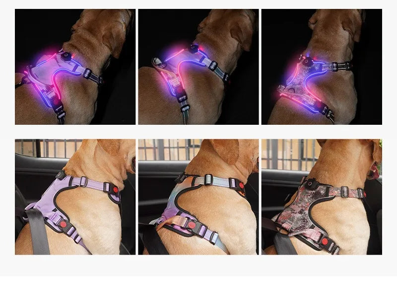 LED Dog Harness with 2 Leash Clips, Adjustable Soft Padded Dog Vest SIMPLY LED