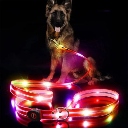 Adjustable, Rechargeable, and Safe LED Light Pet Collar SIMPLY LED