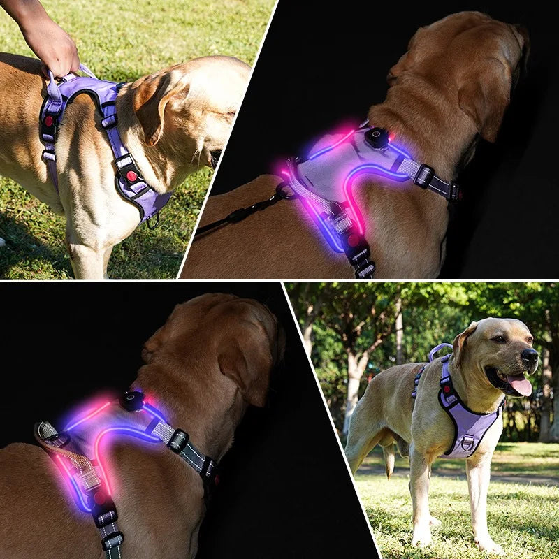 LED Dog Harness with 2 Leash Clips, Adjustable Soft Padded Dog Vest SIMPLY LED