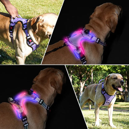 LED Dog Harness with 2 Leash Clips, Adjustable Soft Padded Dog Vest SIMPLY LED