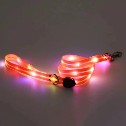 Adjustable, Rechargeable, and Safe LED Light Pet Collar SIMPLY LED