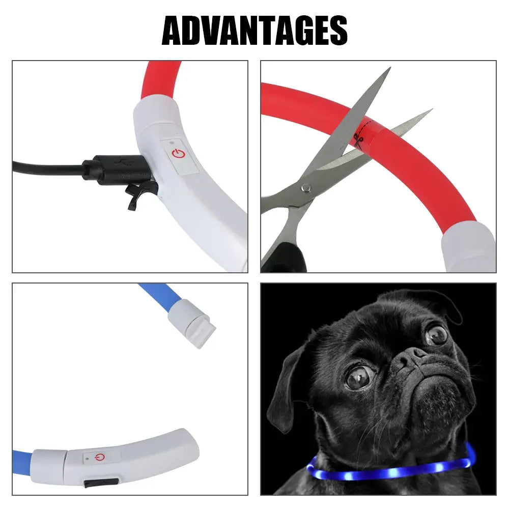 Led USB Night Safety Flashing Glow Pet Collar SIMPLY LED