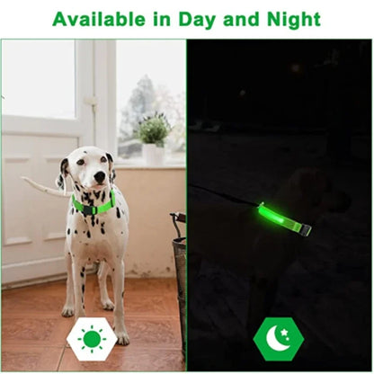 New LED Glowing Adjustable Flashing Rechargeable Luminous Pet Night Light Collar SIMPLY LED