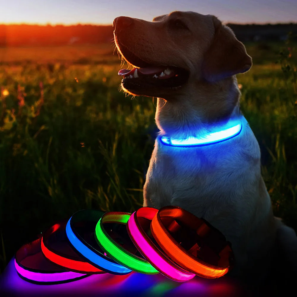 LED Dog Collar Waterproof Safety Night Glow Necklace SIMPLY LED