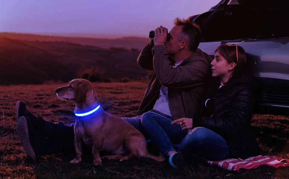 LED Dog Collar Waterproof Safety Night Glow Necklace SIMPLY LED