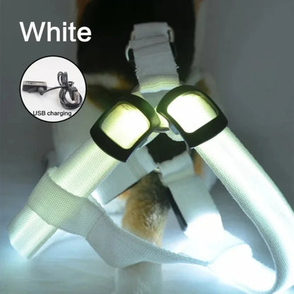 Glow-in-the-Dark LED Light Safety Nylon Lighted Dog Harness SIMPLY LED