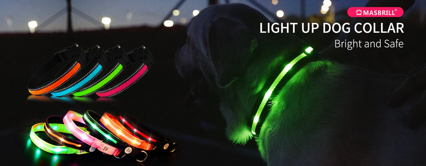 LED Dog Collar Waterproof Safety Night Glow Necklace SIMPLY LED